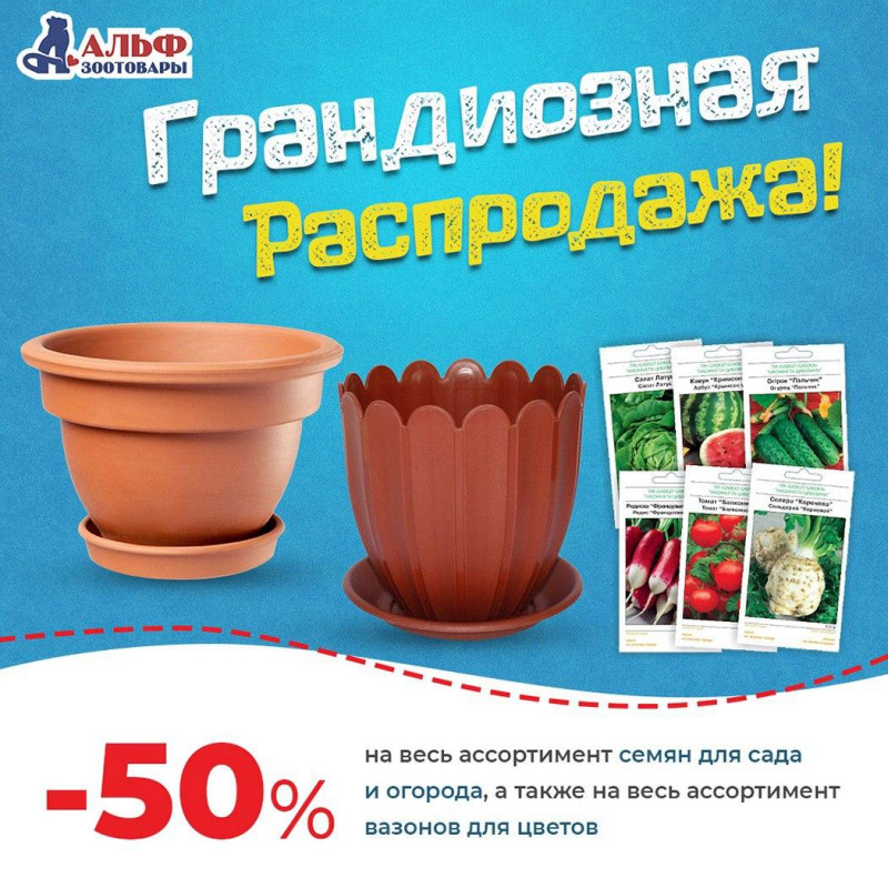 Магазин Семена Распродажа