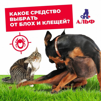 От блох и клещей